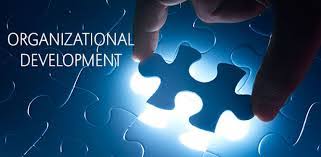 Organizational Development